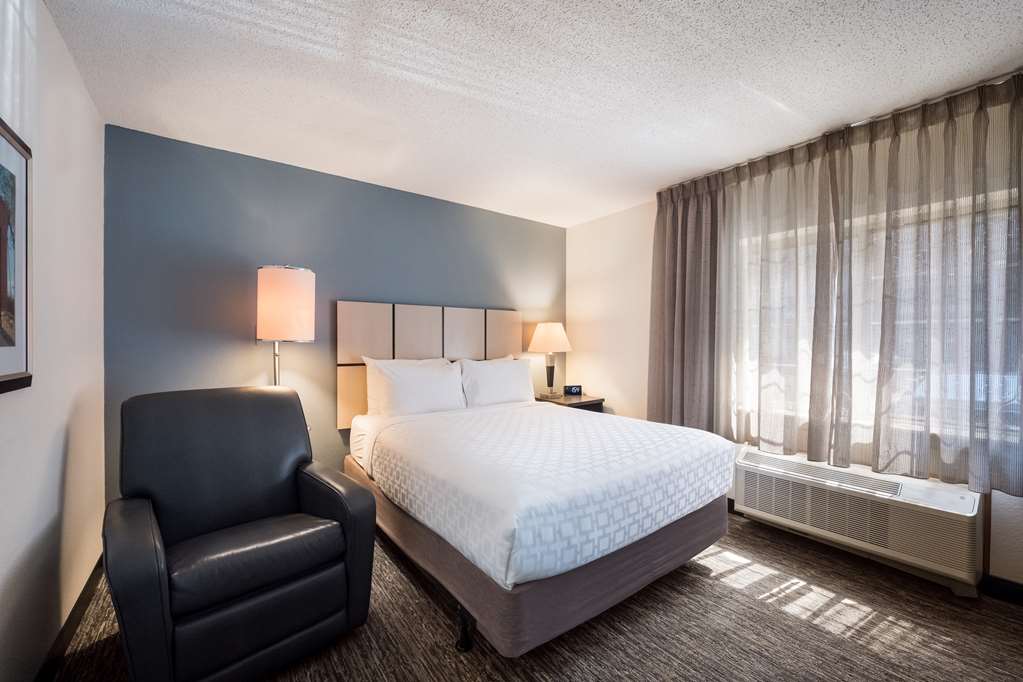 Sonesta Simply Suites Dallas Las Colinas - photo 3