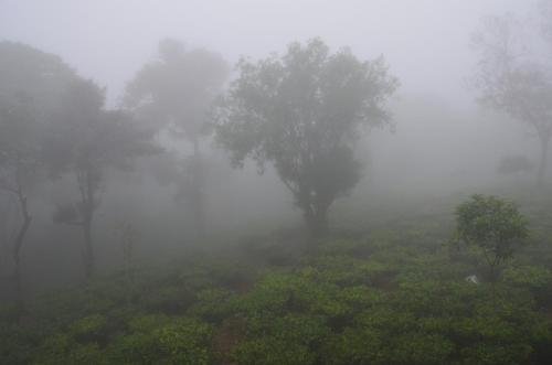 Chillax Vagamon 