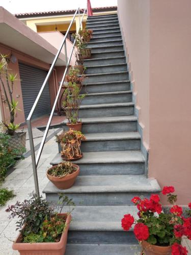 President Palace Apartament 