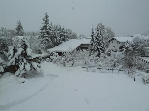 GÄstehaus Frischhut 