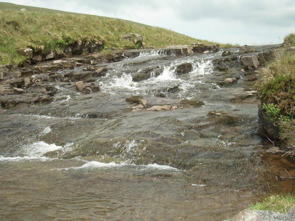 Gwarllwyn 