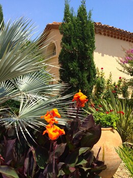 Gorgeous Seaview House In The Nature Reserve Of Roque Haute With Pool Garden