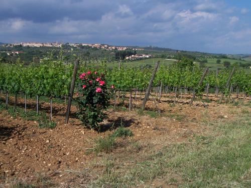 Agriturismo La Carlina 