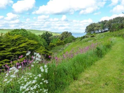 Wisteria Cottage Kingsbridge 