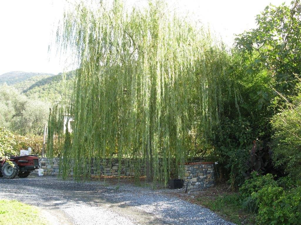 Agriturismo La Vigna 