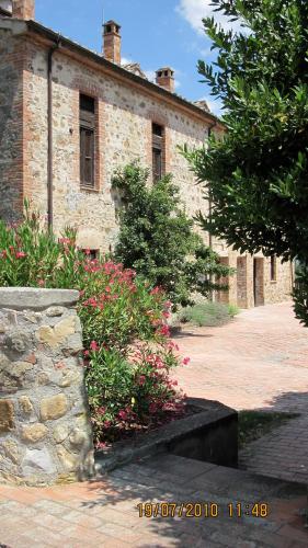Art And Garden (آرت اند گاردن) 