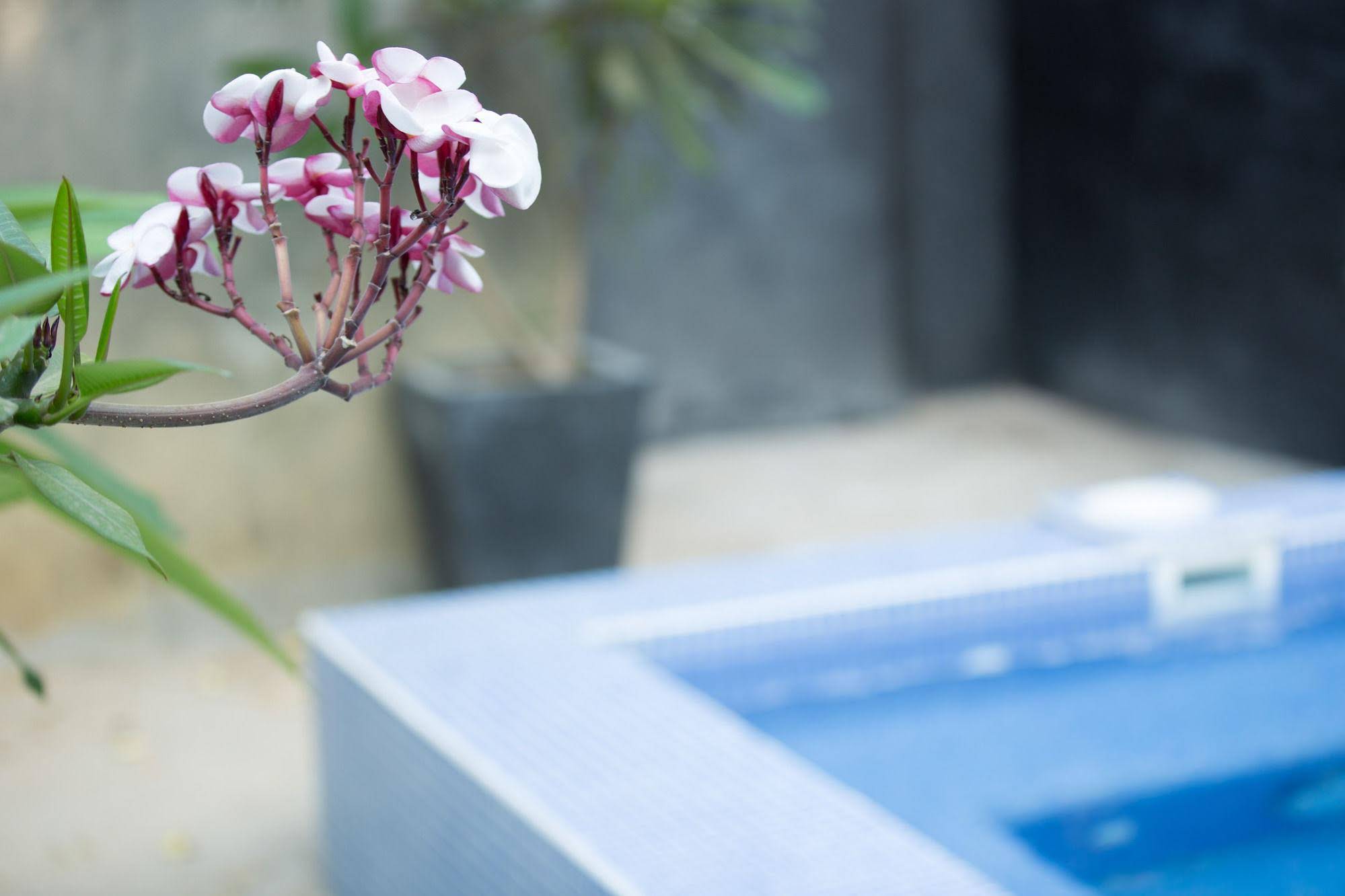Sonalong Boutique Village & Resort 
