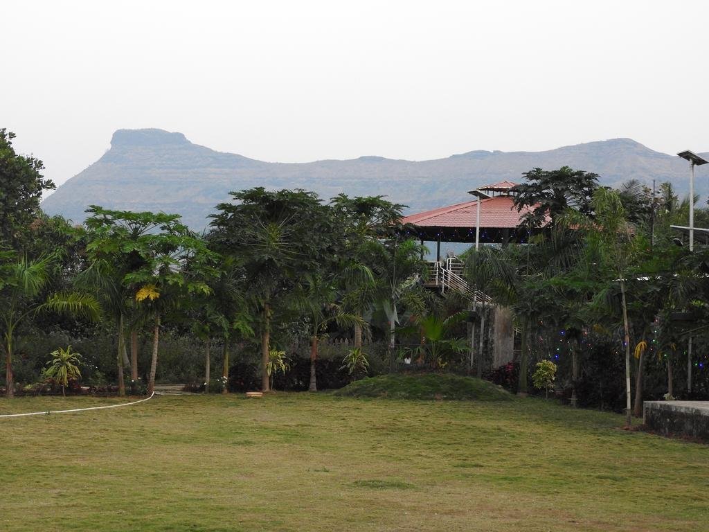Nature Leap Resort 