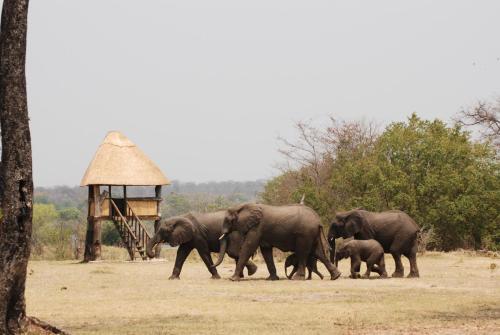 Bushbuck River House 