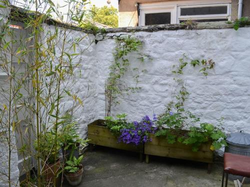 Blackbird House 