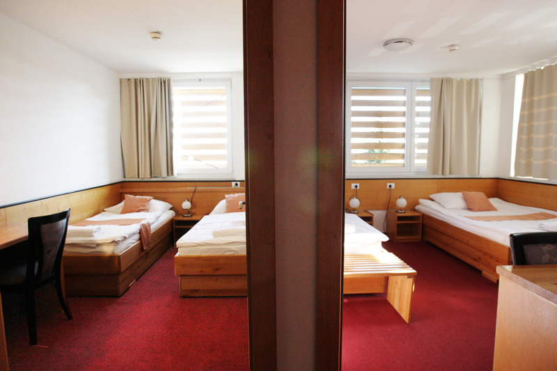 Hotel Tabor (هتل تابور) Room