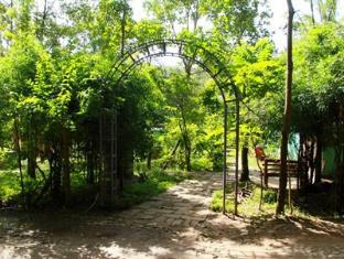 Deep Jungle Home 