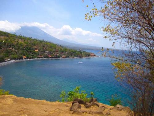 Dharma Yoga Homestay 