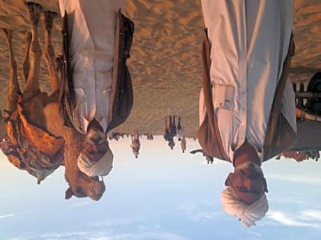 Golden Marigold Hotel 