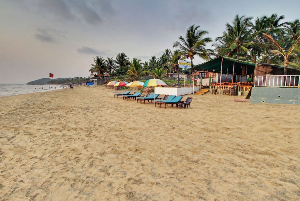 Ocean View Resort 