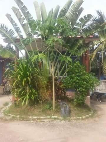 Orn Homestay 