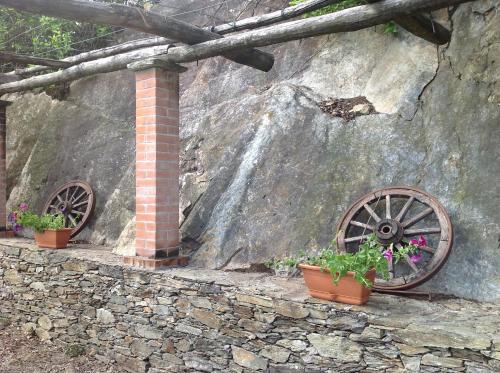 Il Ciliegio Selvatico 