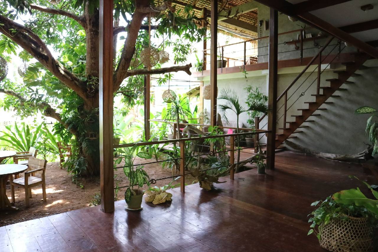 Bluemango Rooms & Villas 