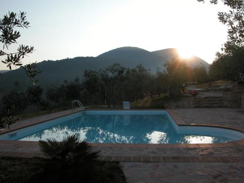 Villa Sassovivo (ویلا ساسوویوو) 