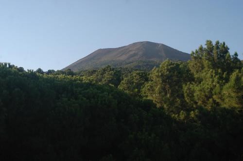 Parco Vesevus 