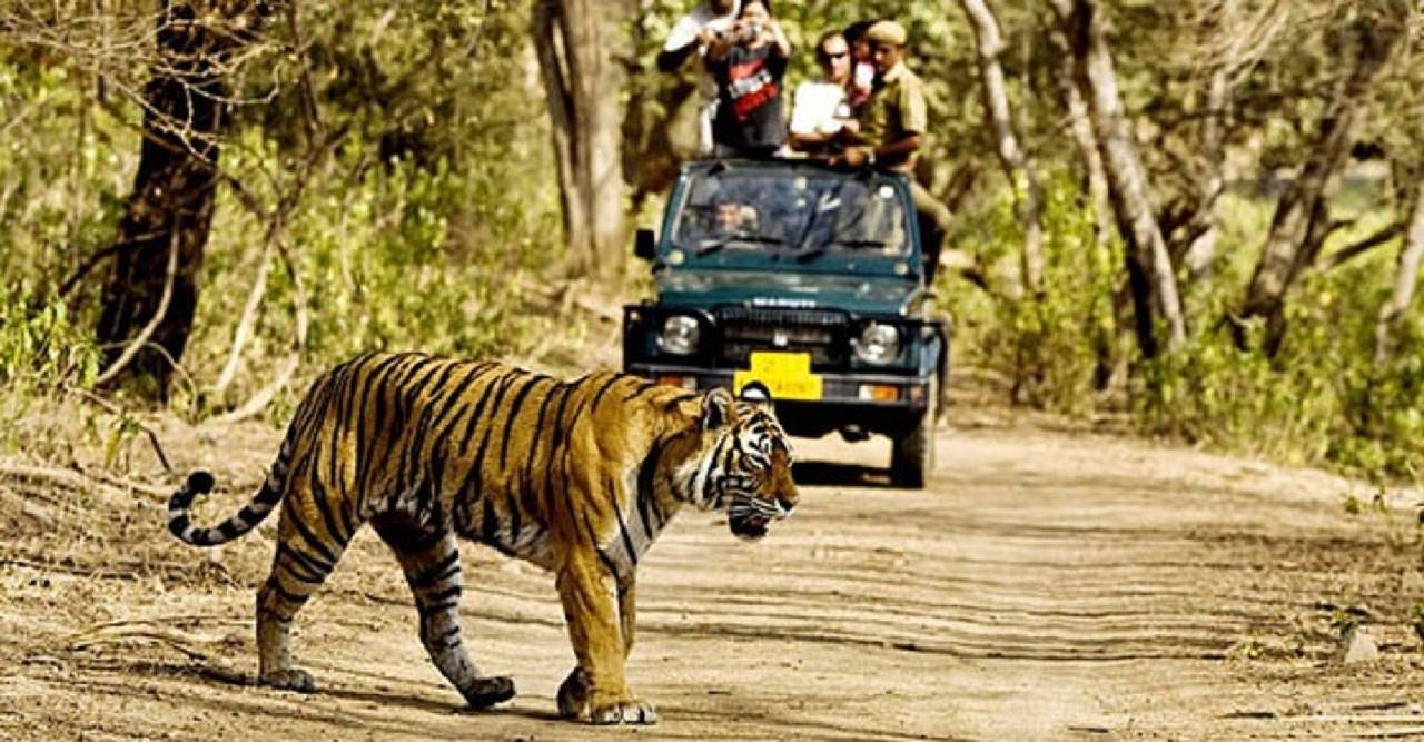 The Tiger Groove Resort 