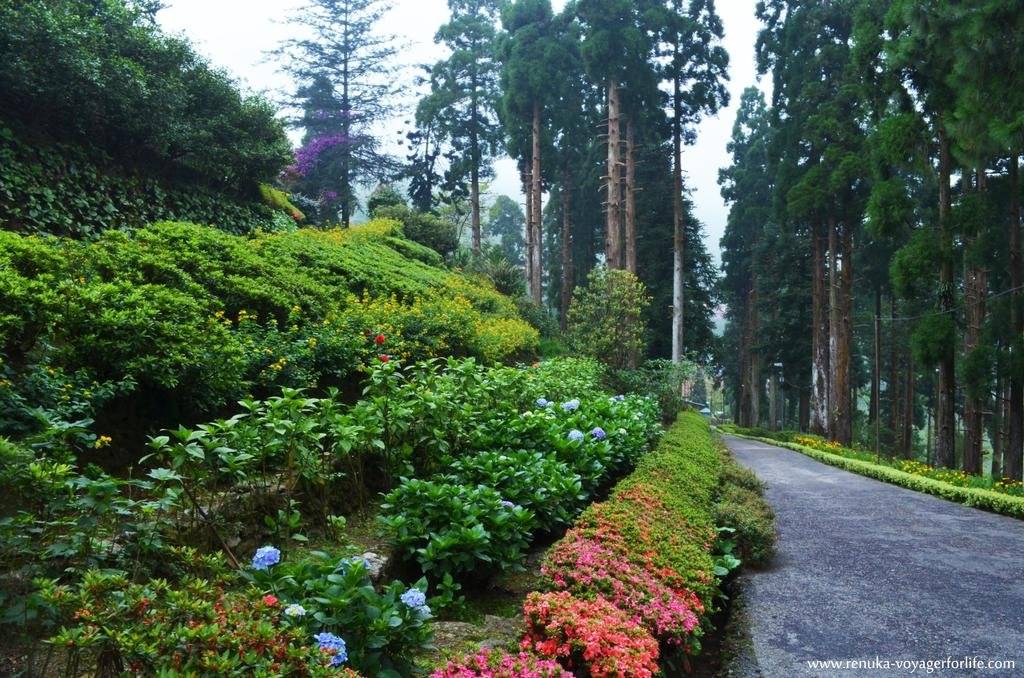Goomtee Tea Garden Retreat 