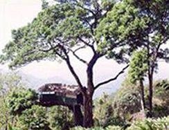 Munnar Inn 