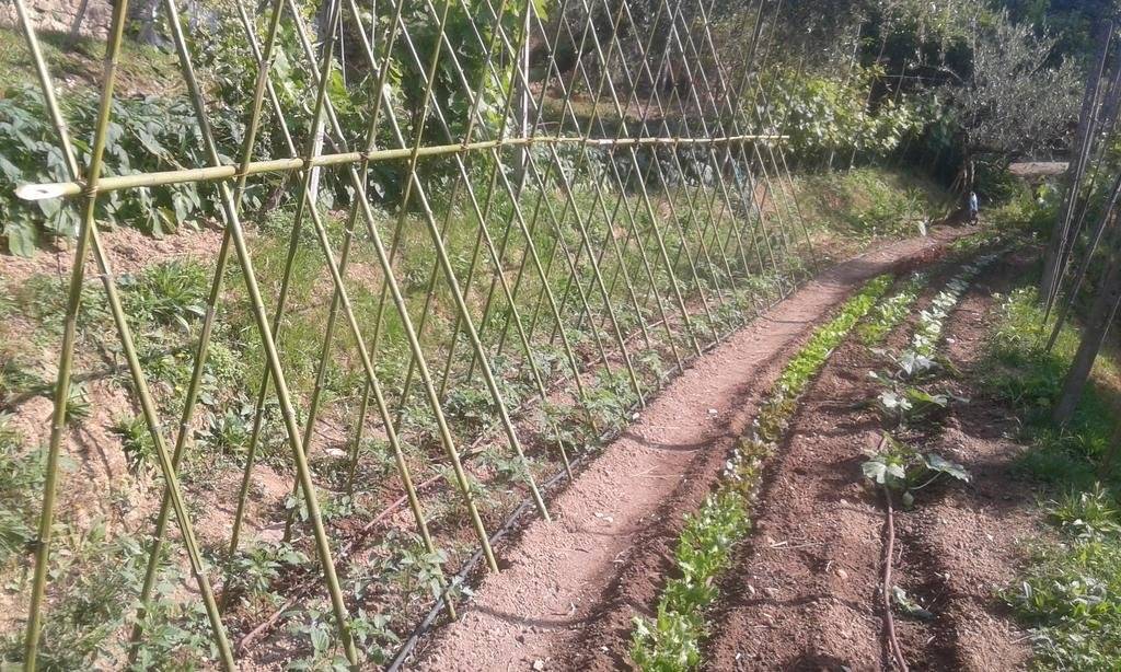 La Fattoria Di Nonna Eugenia 