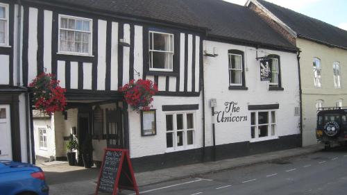 The Unicorn ( اونیكورن) 