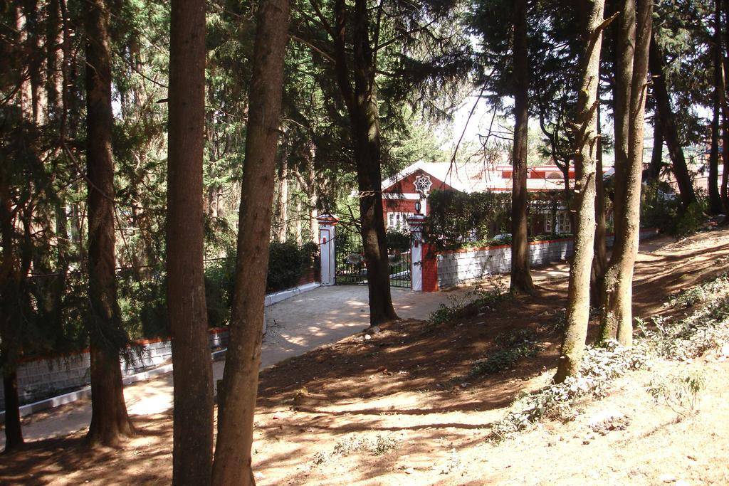 The Red House 