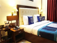 Oyo Premium Luxurious Castle 