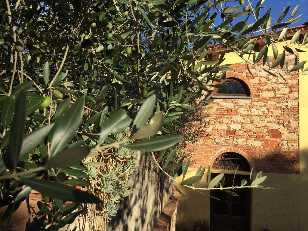 La Cantina Del Podere Dei Boni 