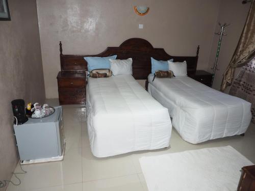 Panama Lodge And Tours 