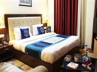 Oyo Premium Luxurious Castle 