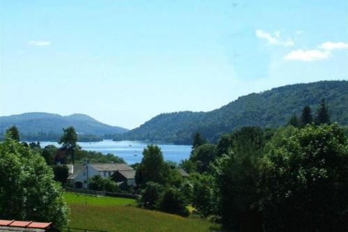 The Gallery ( گالری) 