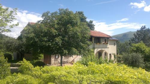 Casale Degli Ulivi 