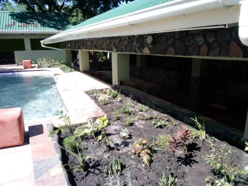 Cafe Zambezi House Of Africa 