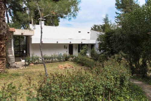 Sani Cottage 