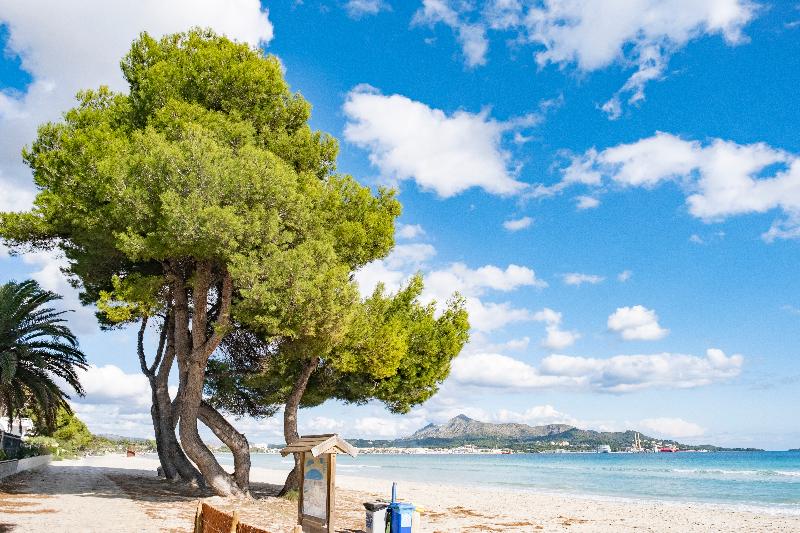 Eix Alzinar Mar Suites Adults Only Beach