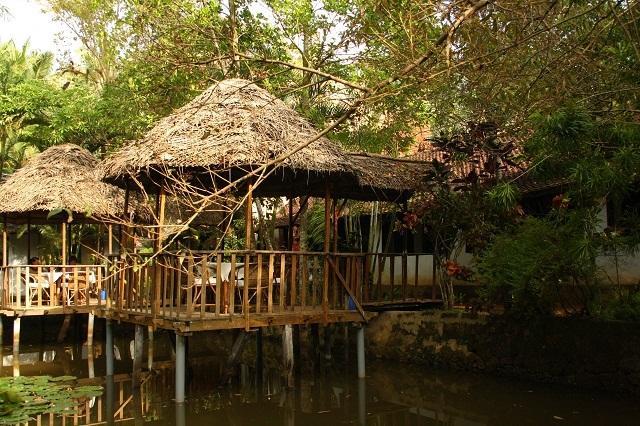 Eden Garden Ayurvedic Health Retreat 