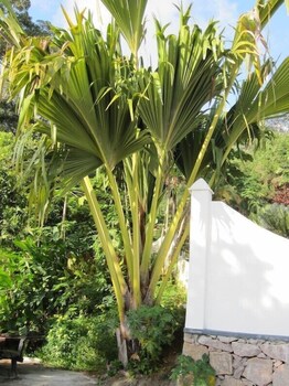 The Station Seychelles Property Grounds