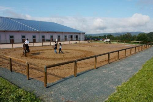 Reit Und Sporthotel Eibenstock (ریت اوند اسپورتوتل ایبنستوک) 