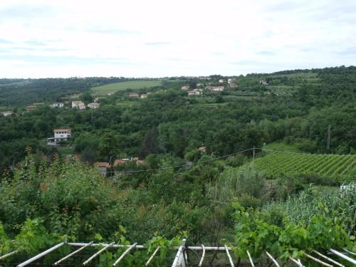 B&b Alle Violette 