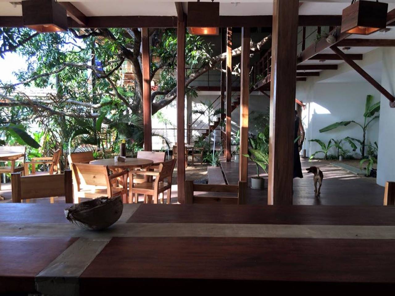 Bluemango Rooms & Villas 