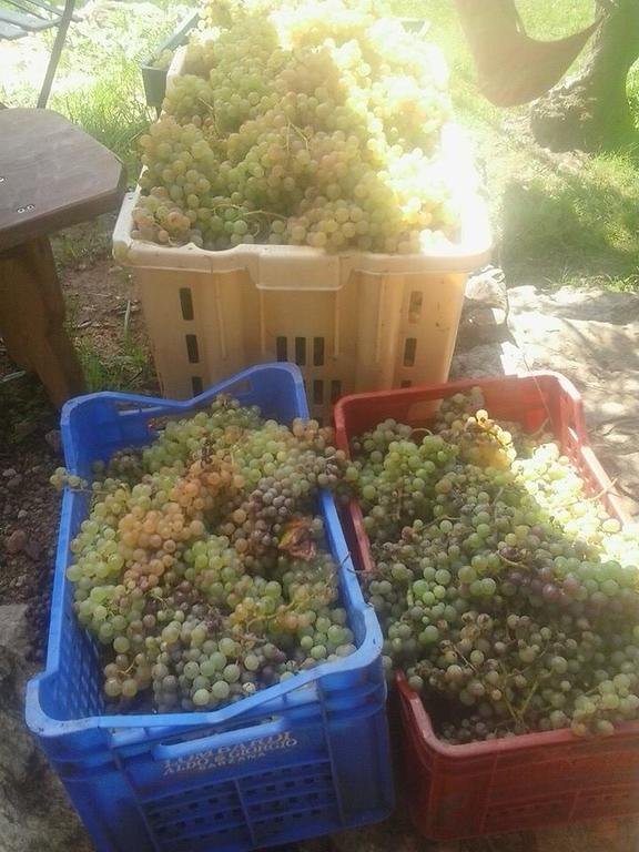 La Fattoria Di Nonna Eugenia 