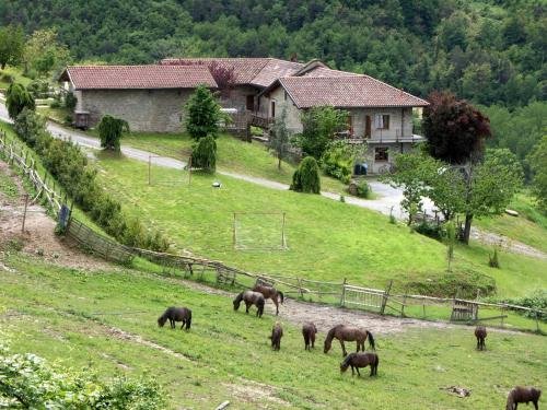 Agriturismo Gallo 