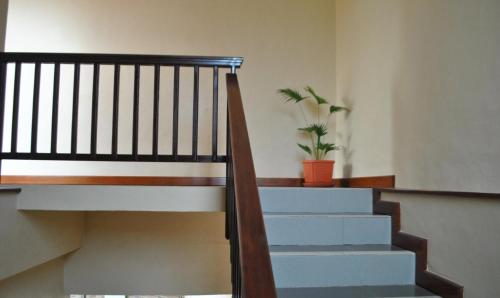 Griya Ringo Guest House 