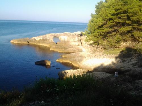 Guest House Aldin 
