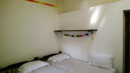 The Lazy Llama Hostel 